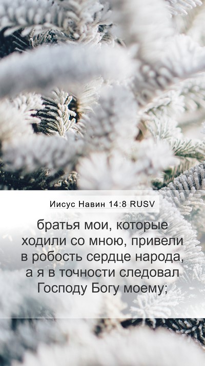 Иисус Навин 14:8 RUSV Bible Verse Image