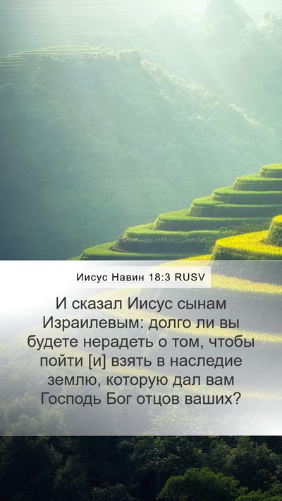 Иисус Навин 18:3 RUSV Bible Verse Image