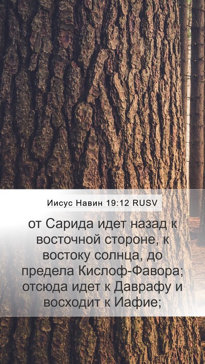 Иисус Навин 19:12 RUSV Bible Verse Image
