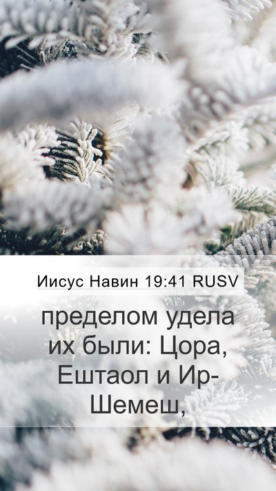 Иисус Навин 19:41 RUSV Mobile Phone Wallpaper - пределом удела их были: - Mobile Bible Verse Wallpaper