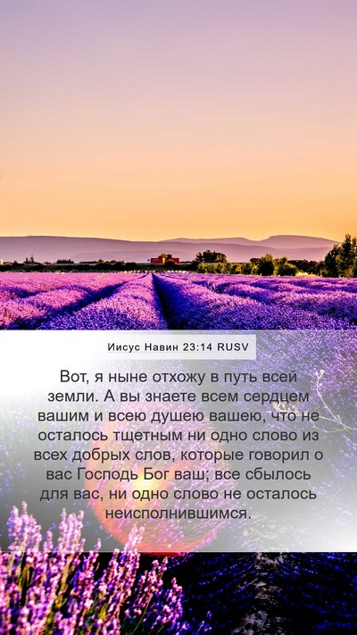 Иисус Навин 23:14 RUSV Mobile Phone Wallpaper - Вот, я ныне отхожу в путь - Mobile Bible Verse Wallpaper