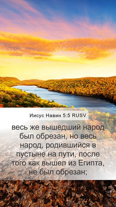 Иисус Навин 5:5 RUSV Mobile Phone Wallpaper - весь же вышедший народ был - Mobile Bible Verse Wallpaper