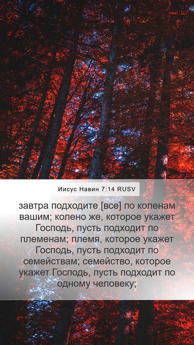 Иисус Навин 7:14 RUSV Mobile Phone Wallpaper - завтра подходите [все] по - Mobile Bible Verse Wallpaper