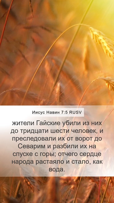 Иисус Навин 7:5 RUSV Bible Verse Image