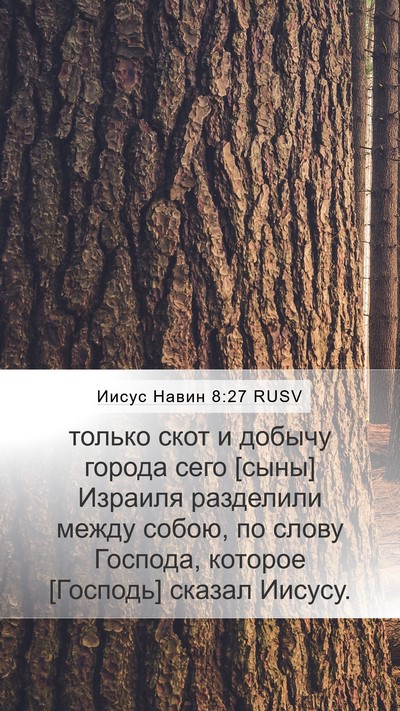 Иисус Навин 8:27 RUSV Bible Verse Image