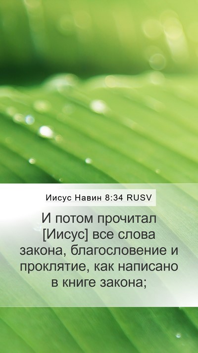 Иисус Навин 8:34 RUSV Mobile Phone Wallpaper - И потом прочитал [Иисус] - Mobile Bible Verse Wallpaper
