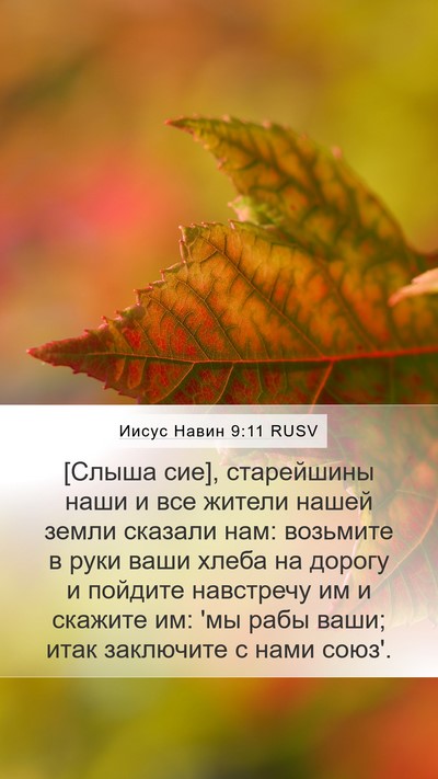 Иисус Навин 9:11 RUSV Bible Verse Image