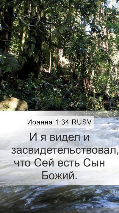 Иоанна 1:34 RUSV Bible Verse Image