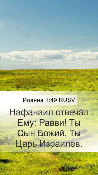 Иоанна 1:49 RUSV Bible Verse Image