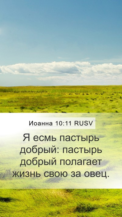 Иоанна 10:11 RUSV Bible Verse Image