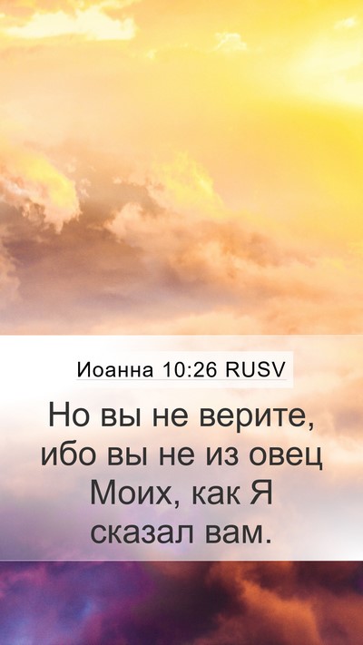 Иоанна 10:26 RUSV Bible Verse Image