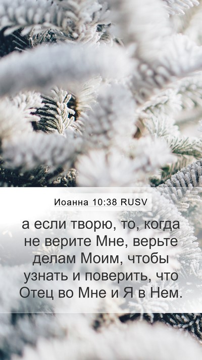 Иоанна 10:38 RUSV Bible Verse Image