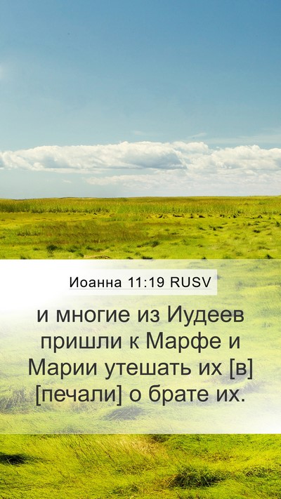 Иоанна 11:19 RUSV Bible Verse Image
