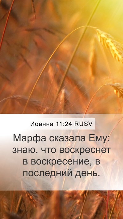 Иоанна 11:24 RUSV Mobile Phone Wallpaper - Марфа сказала Ему: знаю, - Mobile Bible Verse Wallpaper
