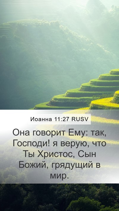 Иоанна 11:27 RUSV Bible Verse Image