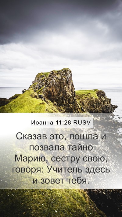 Иоанна 11:28 RUSV Bible Verse Image
