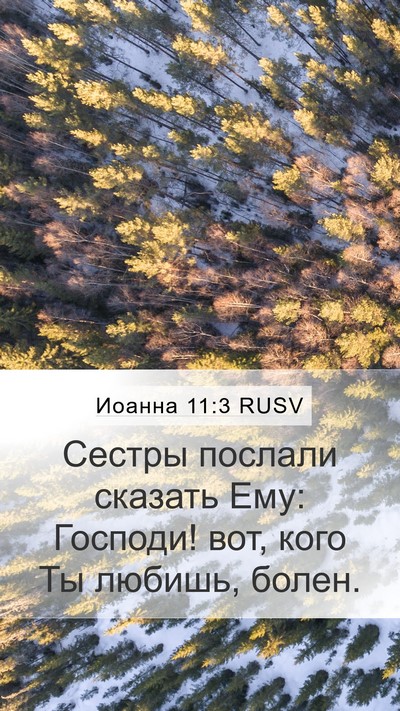 Иоанна 11:3 RUSV Bible Verse Image