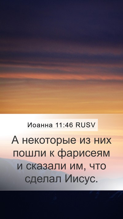 Иоанна 11:46 RUSV Bible Verse Image