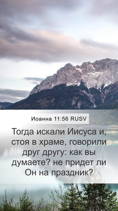 Иоанна 11:56 RUSV Mobile Phone Wallpaper - Тогда искали Иисуса и, стоя - Mobile Bible Verse Wallpaper