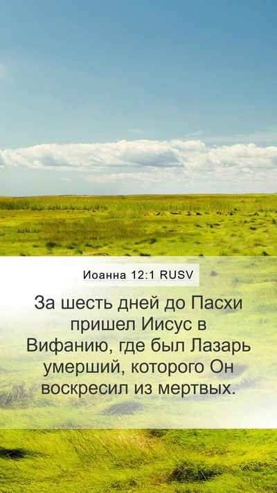 Иоанна 12:1 RUSV Bible Verse Image