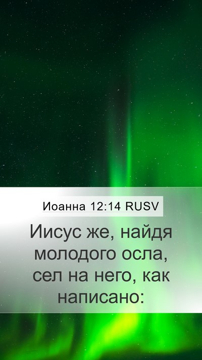 Иоанна 12:14 RUSV Bible Verse Image