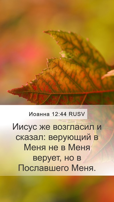 Иоанна 12:44 RUSV Bible Verse Image
