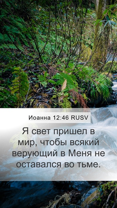 Иоанна 12:46 RUSV Bible Verse Image