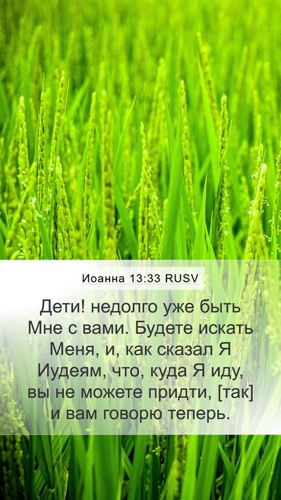 Иоанна 13:33 RUSV Bible Verse Image