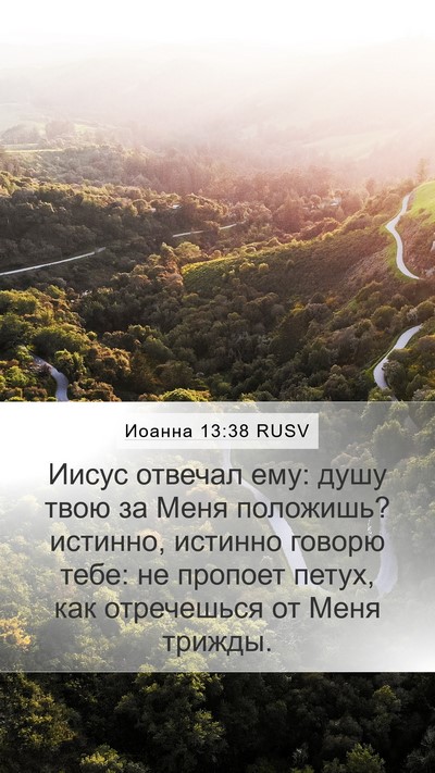 Иоанна 13:38 RUSV Bible Verse Image