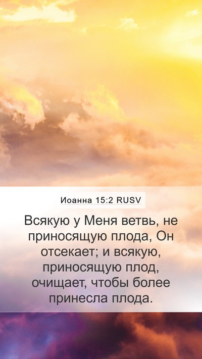Иоанна 15:2 RUSV Bible Verse Image