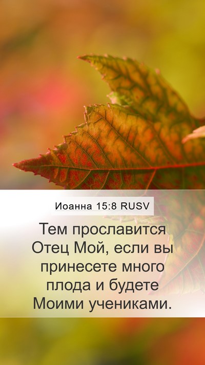 Иоанна 15:8 RUSV Bible Verse Image