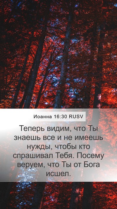 Иоанна 16:30 RUSV Bible Verse Image