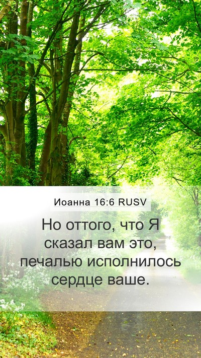 Иоанна 16:6 RUSV Bible Verse Image
