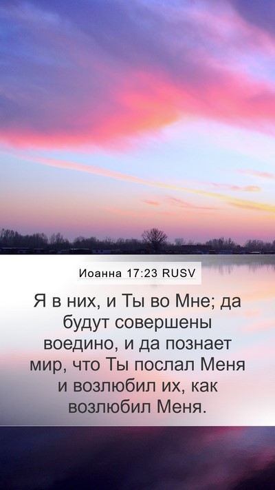Иоанна 17:23 RUSV Bible Verse Image