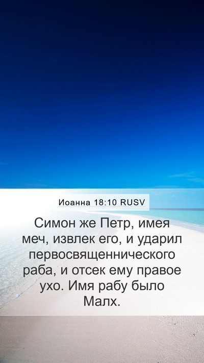 Иоанна 18:10 RUSV Bible Verse Image
