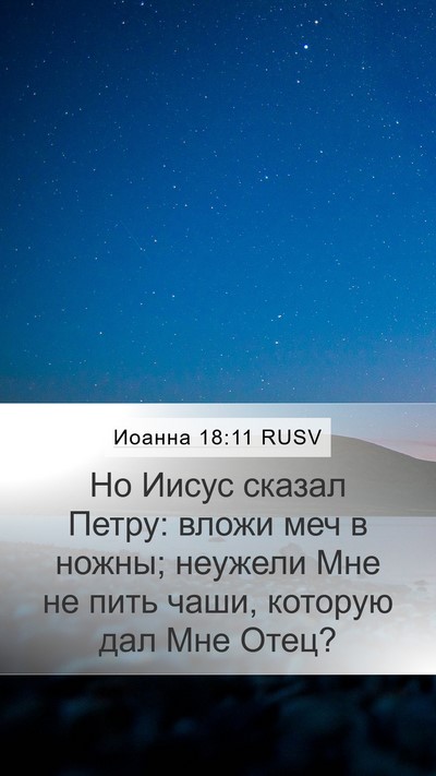 Иоанна 18:11 RUSV Bible Verse Image