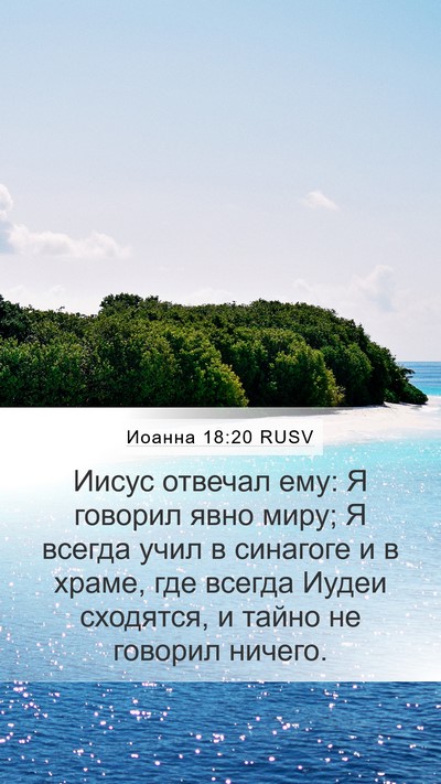 Иоанна 18:20 RUSV Bible Verse Image