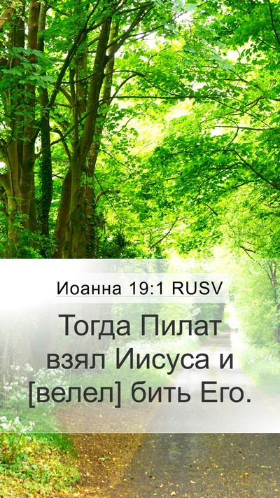 Иоанна 19:1 RUSV Bible Verse Image