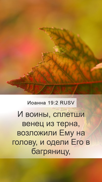 Иоанна 19:2 RUSV Bible Verse Image