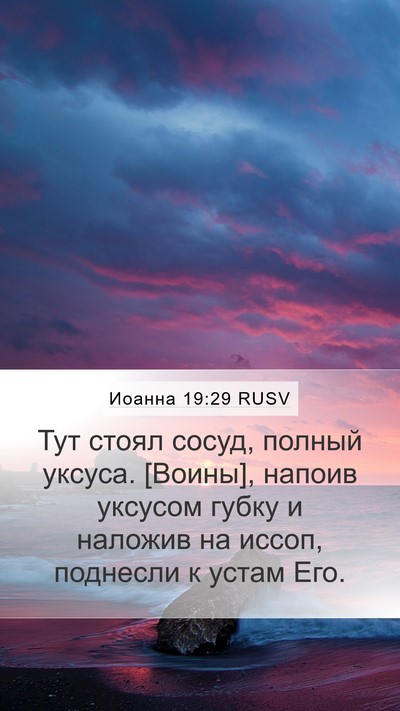 Иоанна 19:29 RUSV Bible Verse Image