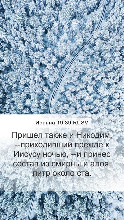 Иоанна 19:39 RUSV Bible Verse Image