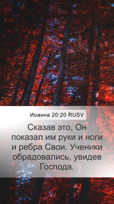 Иоанна 20:20 RUSV Bible Verse Image