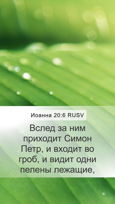 Иоанна 20:6 RUSV Bible Verse Image