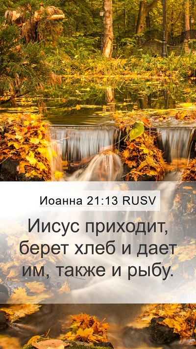 Иоанна 21:13 RUSV Bible Verse Image