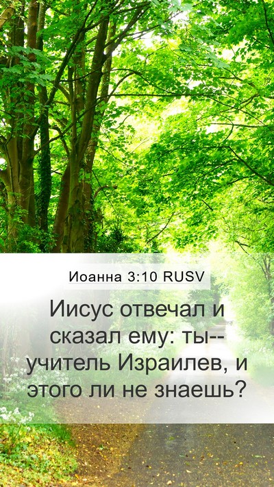 Иоанна 3:10 RUSV Bible Verse Image