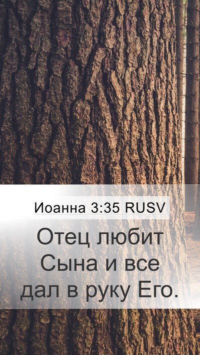 Иоанна 3:35 RUSV Bible Verse Image