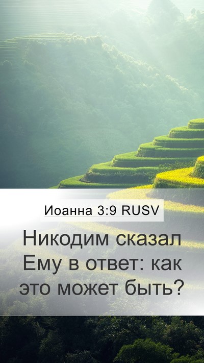 Иоанна 3:9 RUSV Mobile Phone Wallpaper - Никодим сказал Ему в ответ: - Mobile Bible Verse Wallpaper