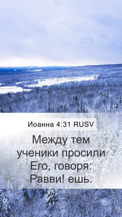 Иоанна 4:31 RUSV Bible Verse Image