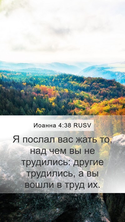 Иоанна 4:38 RUSV Bible Verse Image