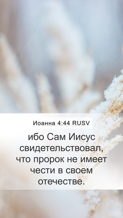 Иоанна 4:44 RUSV Bible Verse Image